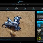 Fishipedia