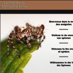 Sans titre-1