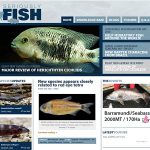 Seriously fish