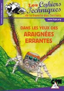 Dans les Yeux des Araignées Errantes