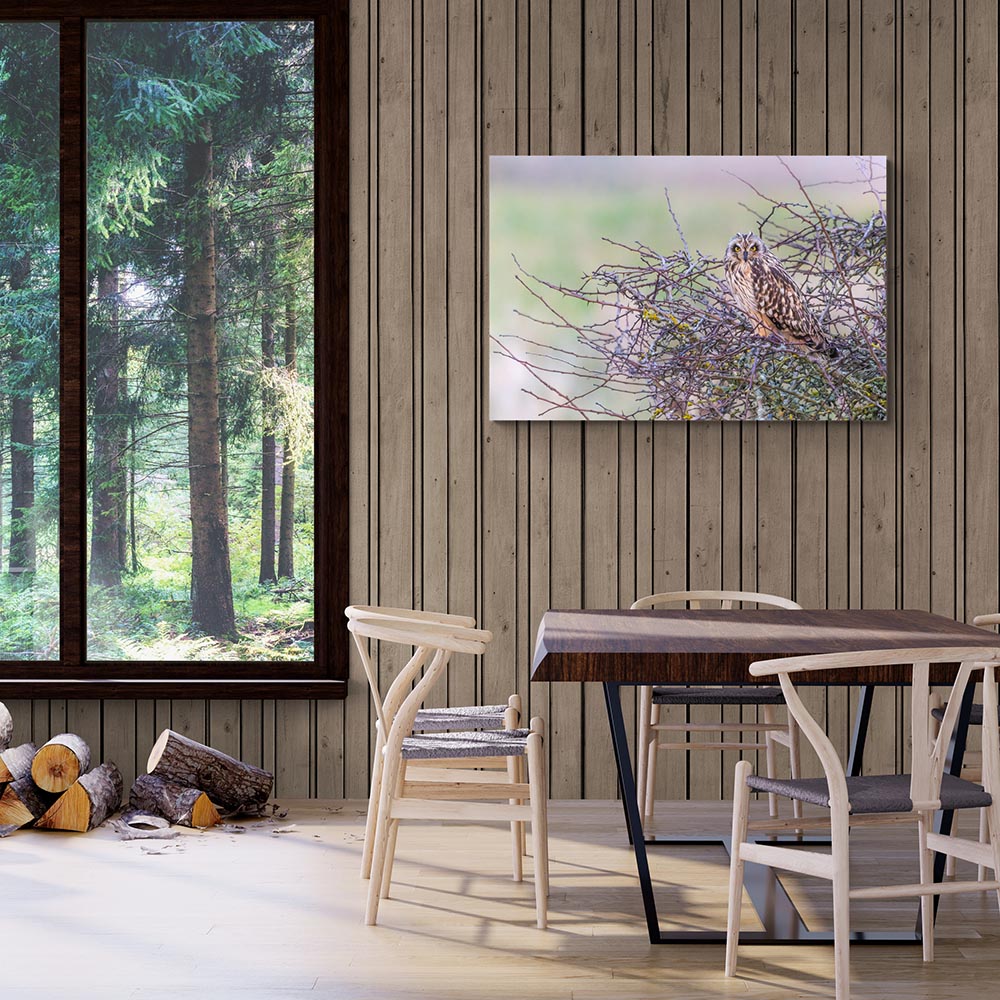 Suggestion de décoration d'un tirage d'art accroché au mur, ambiance cozy bois huilé pour ce hibou des marais
