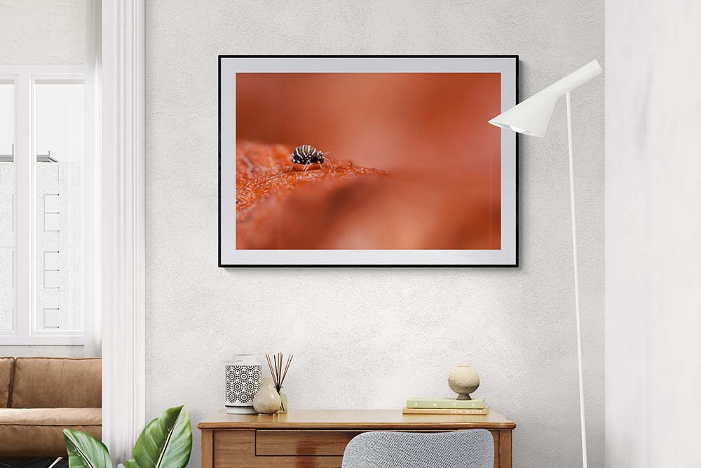 Suggestion de présentation d'un tableau photo d'art graphique et coloré