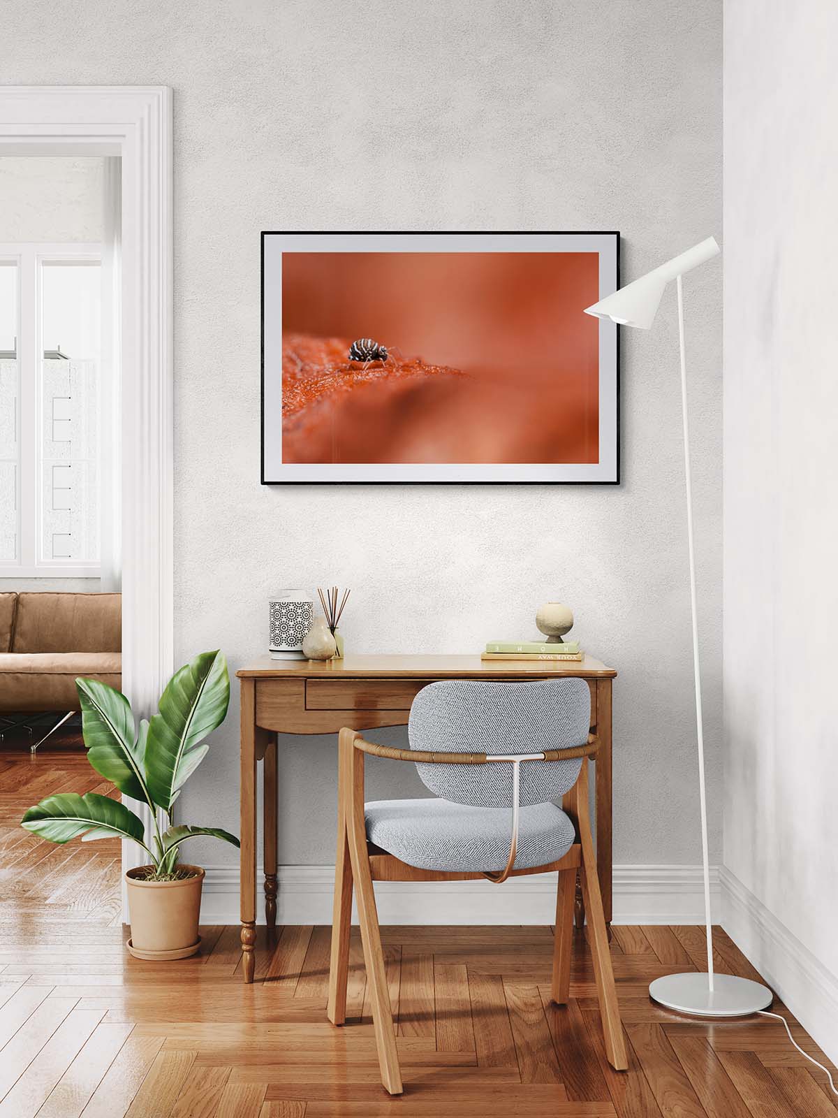 Idée de présentation dans un bureau d'un tirage fine art Aquanat photo spécialiste des collemboles de France