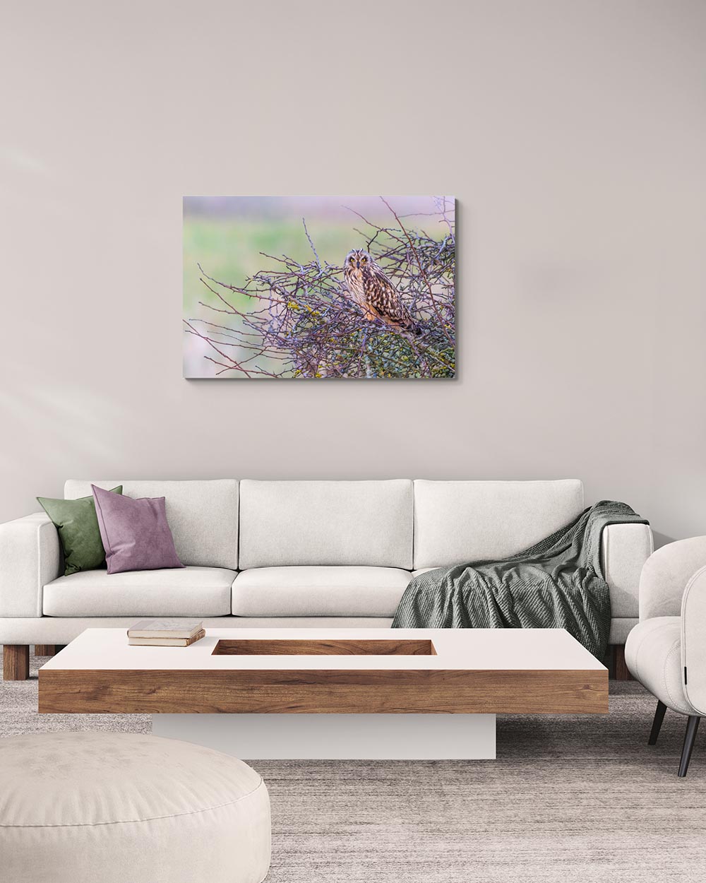 Tableau d'art photographique d'un hibou des marais dans une décoration sobre, douce et très lumineuse.