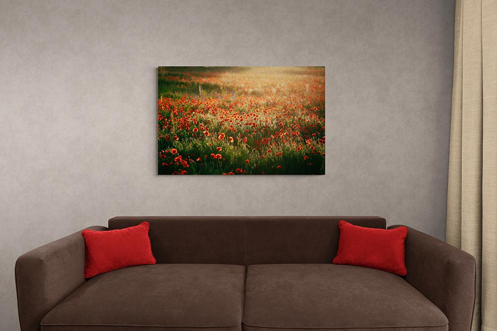 Intégration d'un tableau photo de Jérôme Picard dans un salon au dessus du canapé
